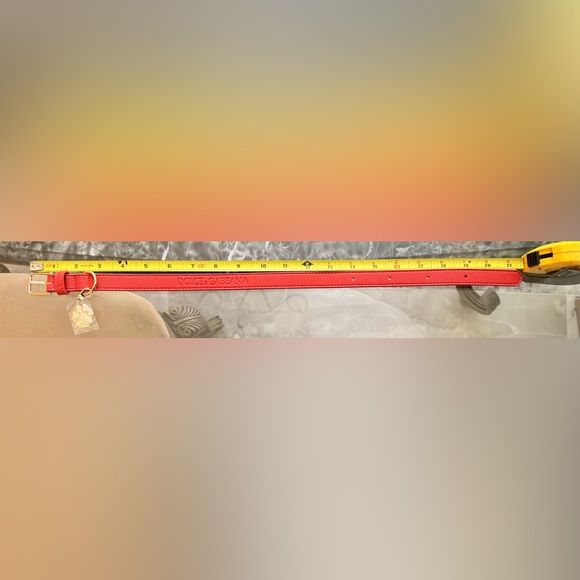 Brand New- Dolce & Gabbana "Fefe" Dog Collar 🐩 - Picture 7 of 7